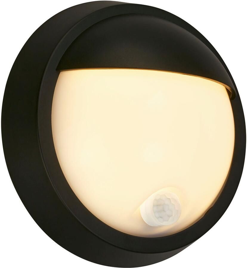 Briloner Leuchten Wandlamp voor buiten Buitenlamp PUNI