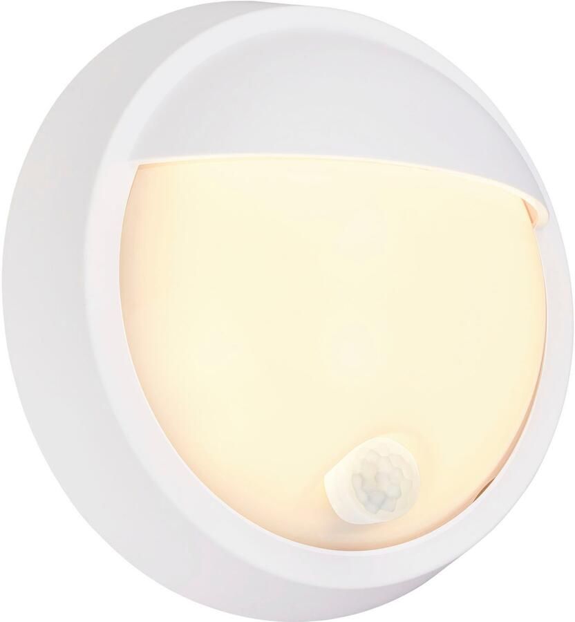 Briloner Leuchten Wandlamp voor buiten Buitenlamp PUNI