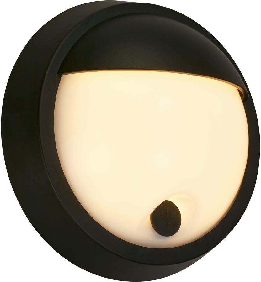 Briloner Leuchten Wandlamp voor buiten Buitenlamp PUNI