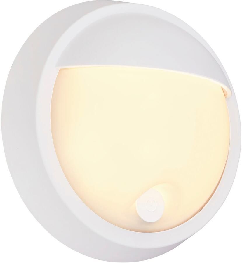 Briloner Leuchten Wandlamp voor buiten Buitenlamp PUNI