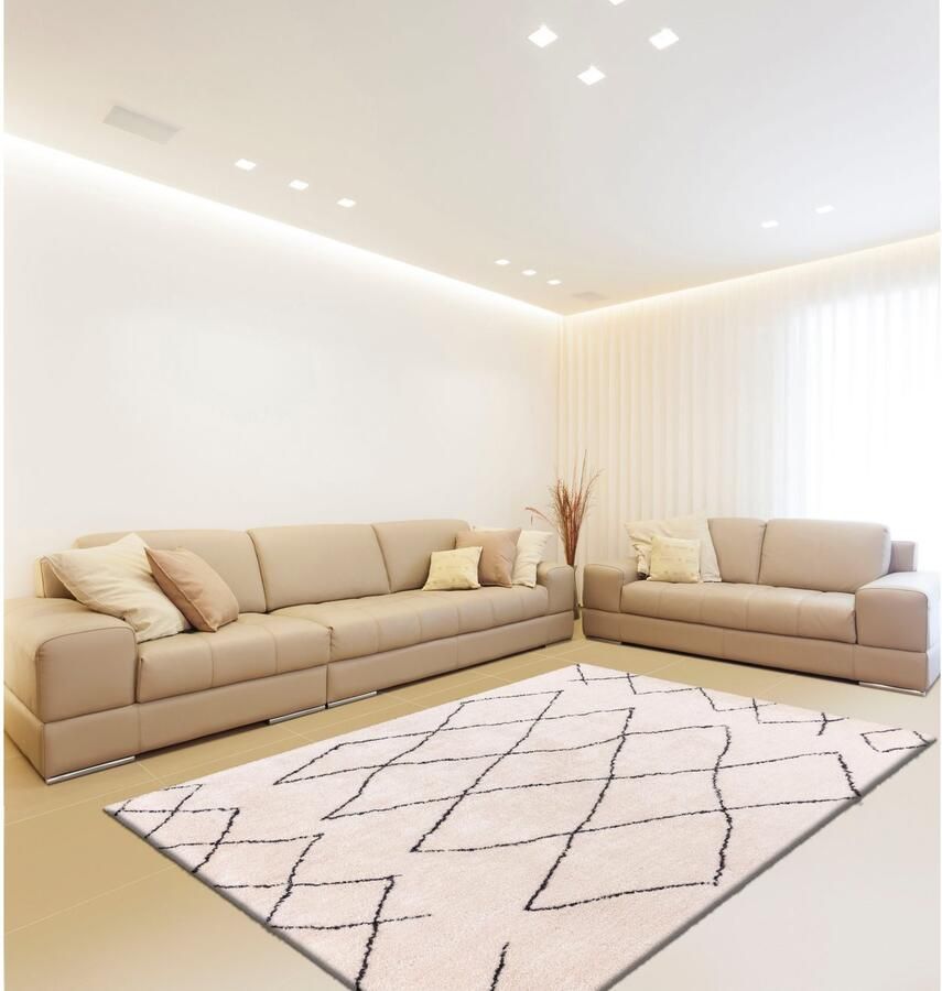 Calo-deluxe Hoogpolig vloerkleed Elvar-4000 bijzonder zacht door microvezel woonkamer