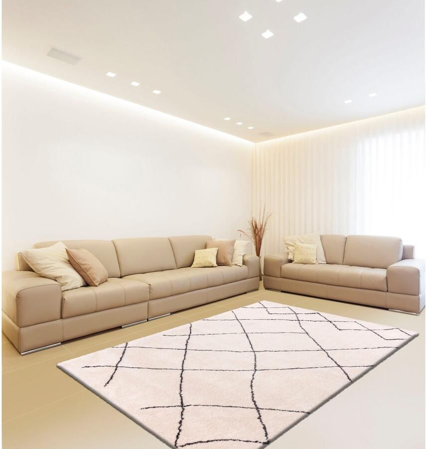 Calo-deluxe Hoogpolig vloerkleed Elvar-5000 bijzonder zacht door microvezel woonkamer