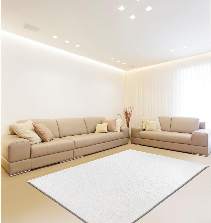 Calo-deluxe Vloerkleed Jardan-1000 bijzonder zacht door microvezel woonkamer