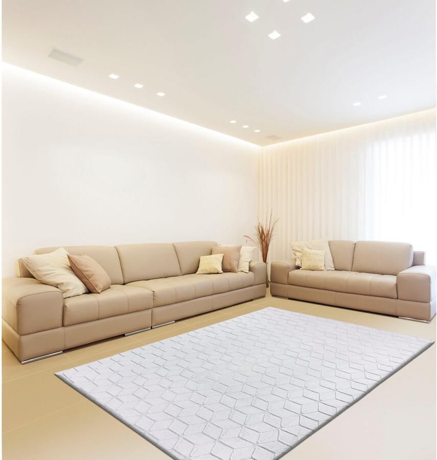 Calo-deluxe Vloerkleed Jardan-1000 bijzonder zacht door microvezel woonkamer