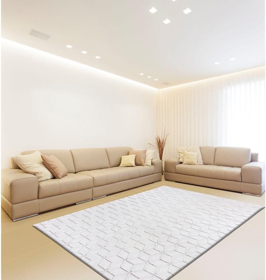 Calo-deluxe Vloerkleed Jardan-1000 bijzonder zacht door microvezel woonkamer