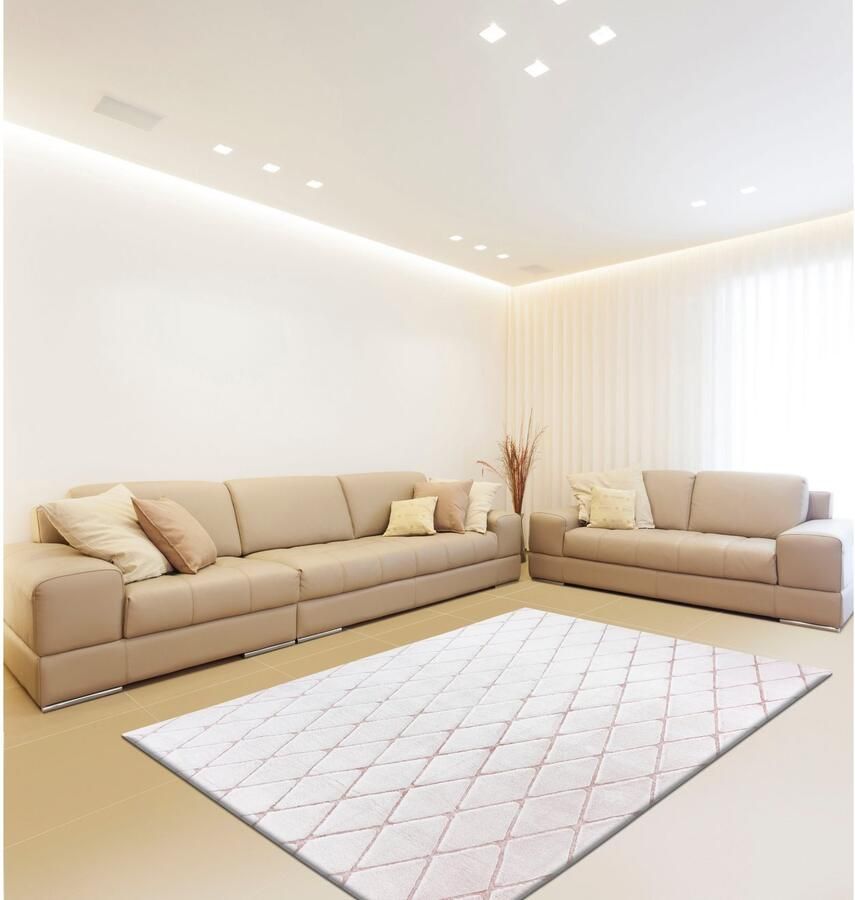 Calo-deluxe Vloerkleed Jardan-2000 bijzonder zacht door microvezel ruitdessin