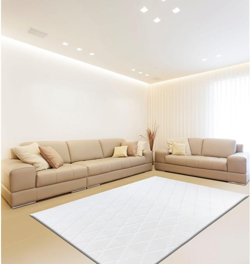 Calo-deluxe Vloerkleed Jardan-2000 bijzonder zacht door microvezel ruitdessin