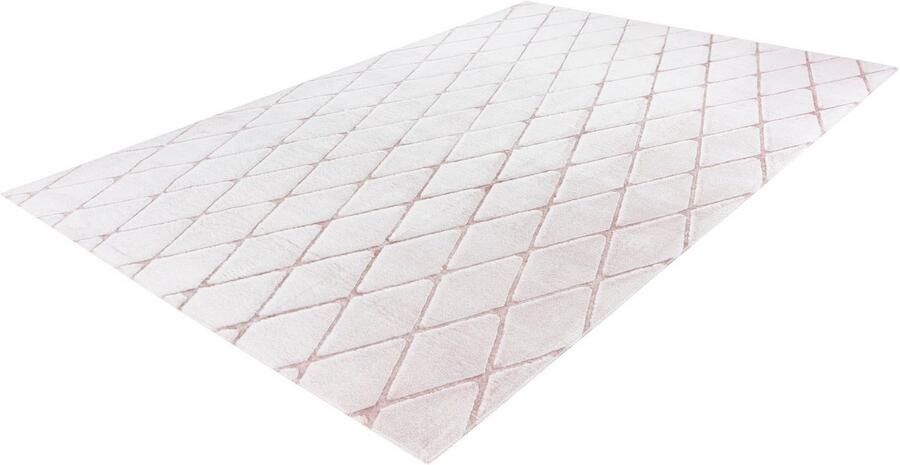 Calo-deluxe Vloerkleed Jardan-2000 bijzonder zacht door microvezel ruitdessin - Foto 7