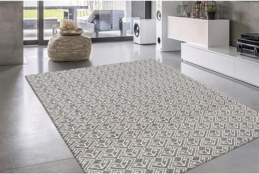 Calo-deluxe Vloerkleed Rico 303 Geschikt voor binnen en buiten onderhoudsvriendelijk woonkamer - Foto 5