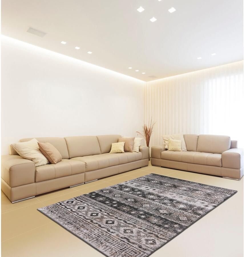 Calo-deluxe Vloerkleed Ruzica-303 Platweefsel vintage-design woonkamer - Foto 3