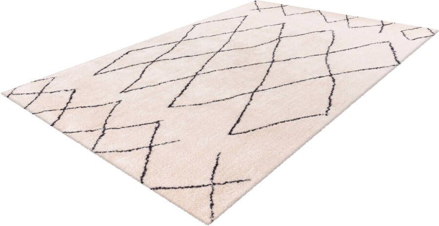 Calo-deluxe Hoogpolig vloerkleed Elvar-4000 bijzonder zacht door microvezel woonkamer - Foto 5