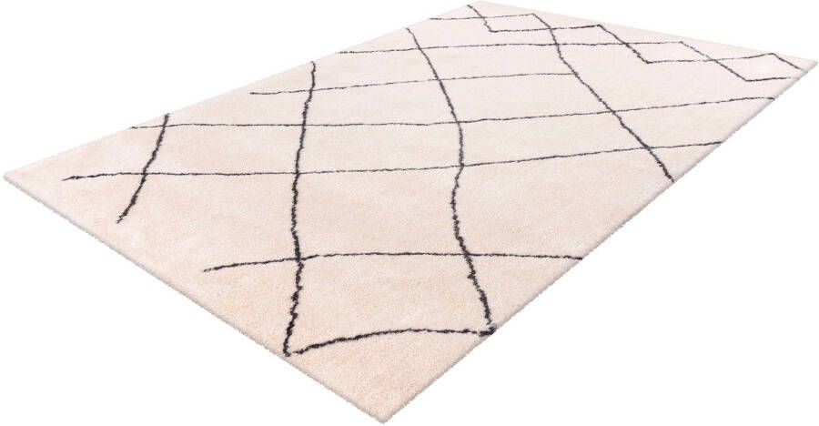 Calo-deluxe Hoogpolig vloerkleed Elvar-5000 bijzonder zacht door microvezel woonkamer - Foto 5