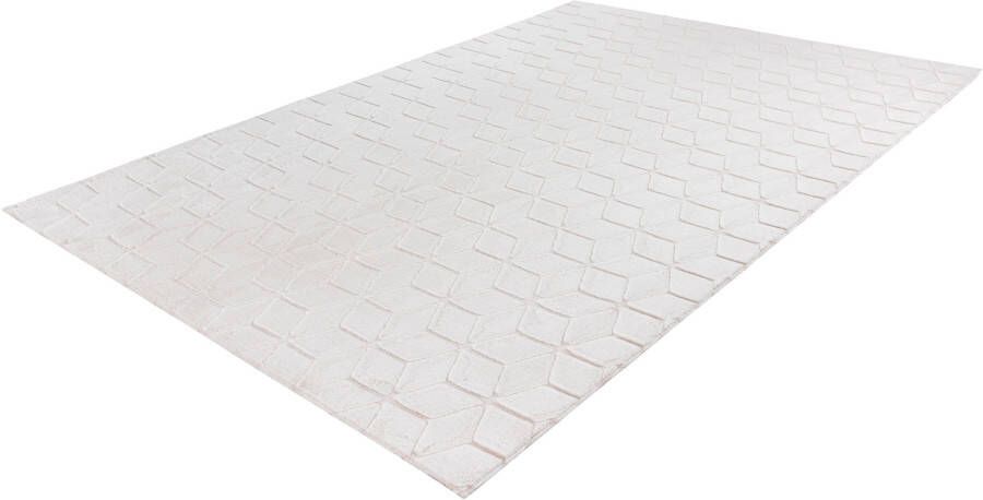 Calo-deluxe Vloerkleed Jardan-1000 bijzonder zacht door microvezel woonkamer - Foto 7