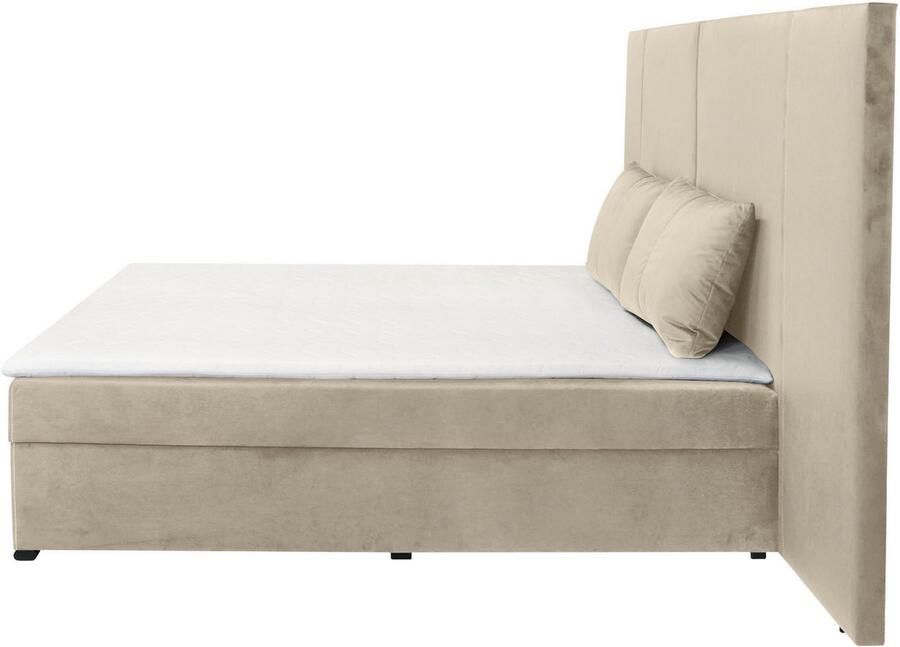 COLLECTION AB Boxspring 30 jaar jubileum model BIG incl. topmatras & bedkist naar keuze h2 h3 h4 - Foto 2