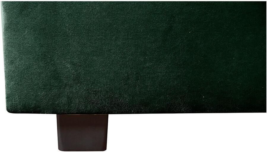 COLLECTION AB Slaapbank DARIA inclusief slaapfunctie en bedlade Slaapbank bedfunctie bedlade inclusief rugkussens veerkern - Foto 6