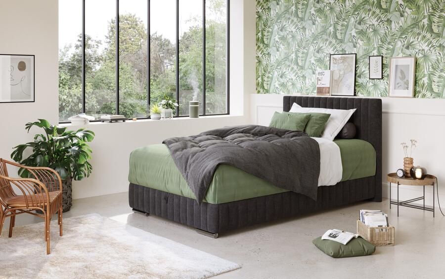 COTTA Boxspring Beetle incl. matrastopper en bedlade - Foto 6