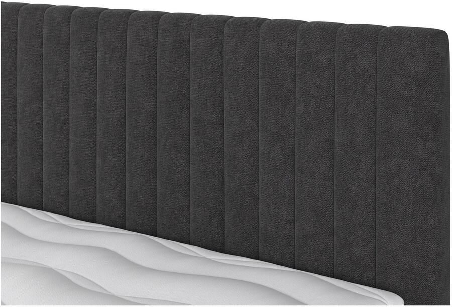 COTTA Boxspring Beetle incl. matrastopper en bedlade - Foto 2