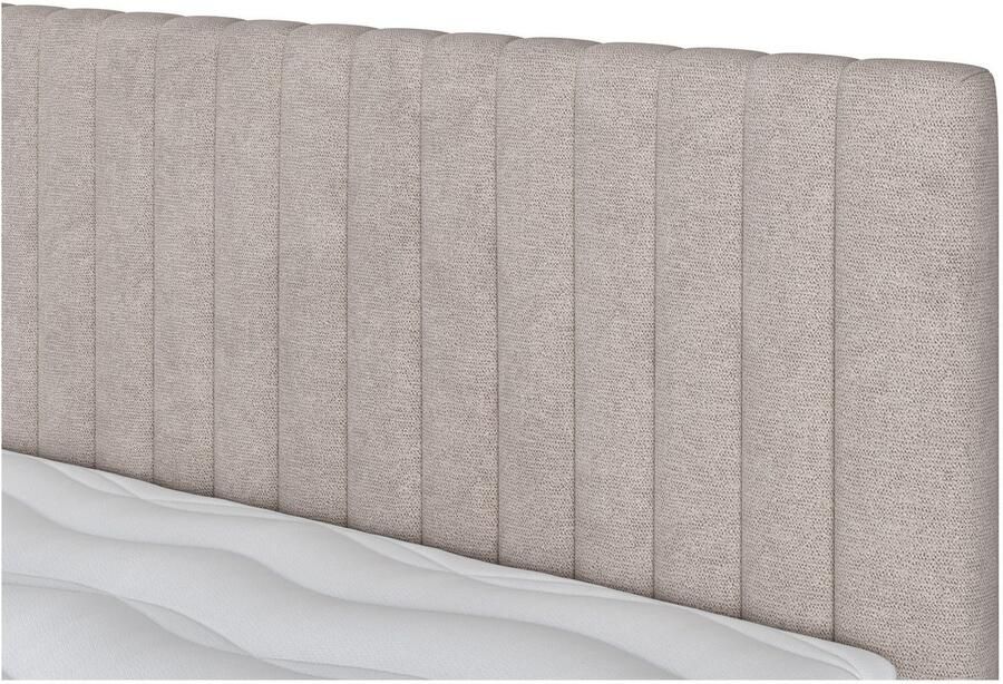 COTTA Boxspring Beetle incl. matrastopper en bedlade - Foto 2