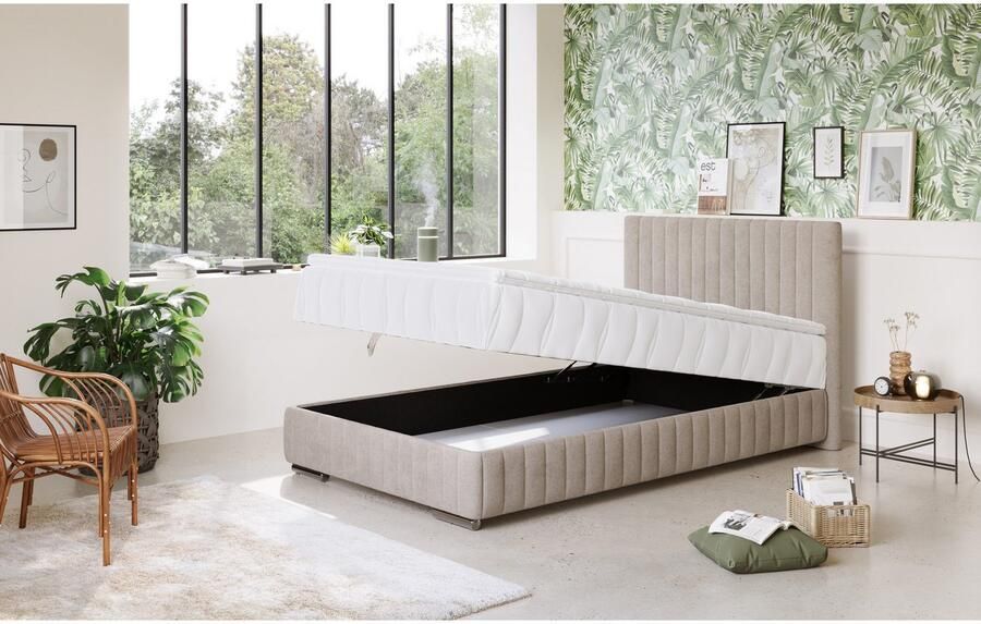 COTTA Boxspring Beetle incl. matrastopper en bedlade - Foto 3