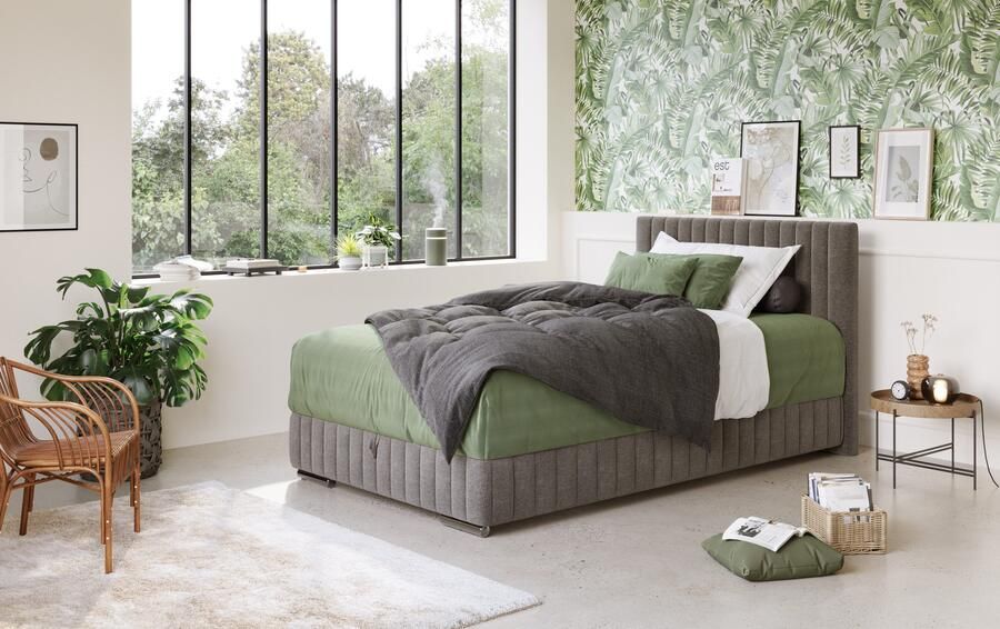 COTTA Boxspring Beetle incl. matrastopper en bedlade - Foto 6