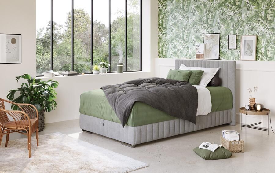 COTTA Boxspring Beetle incl. matrastopper en bedlade - Foto 6