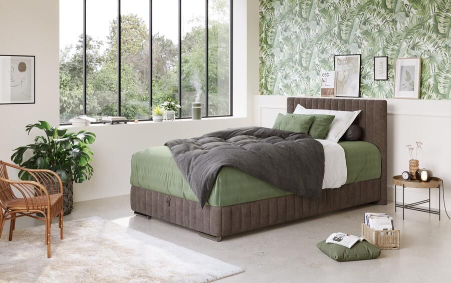 COTTA Boxspring Beetle incl. matrastopper en bedlade - Foto 6