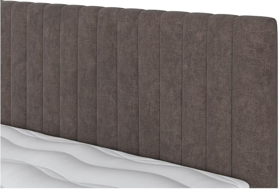 COTTA Boxspring Beetle incl. matrastopper en bedlade - Foto 2