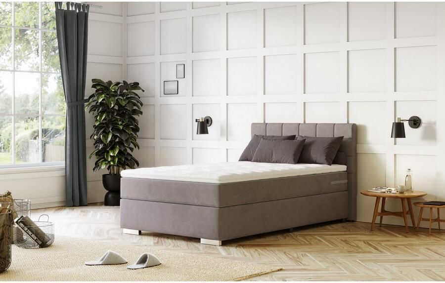 COTTA Boxspring Simba - Foto 6