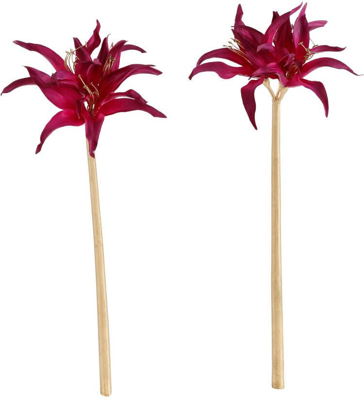 Creativ deco Winterse kunstplant Kerst versiering met goudkleurige stelen (set 2 stuks) - Foto 4