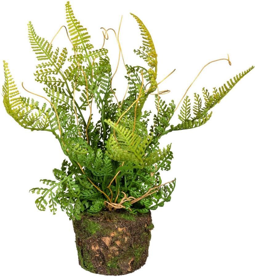 Creativ green Kunst-potplanten Set varenplanten op kluit (3 stuks) - Foto 2