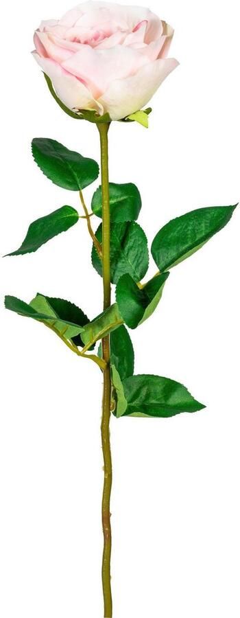 Creativ green Kunstbloem (6 stuks) - Foto 2