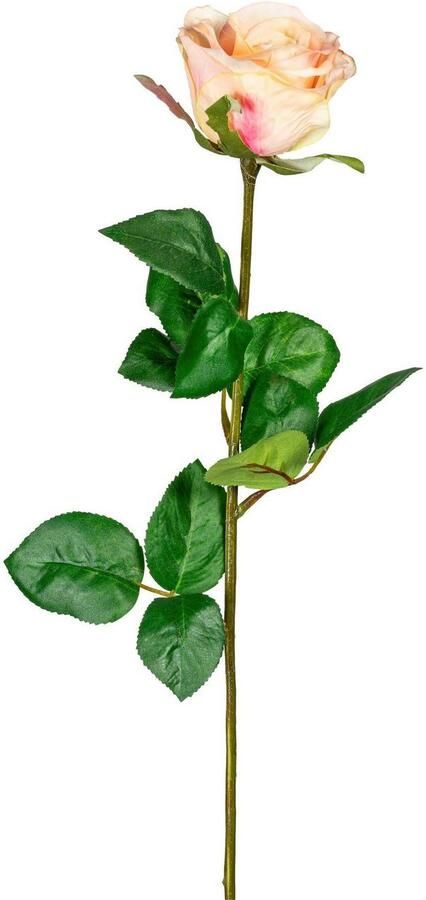 Creativ green Kunstbloem (6 stuks) - Foto 2