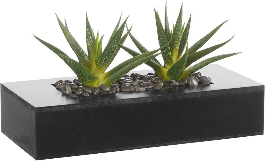 Creativ green Kunstcactus (1 stuk) - Foto 10