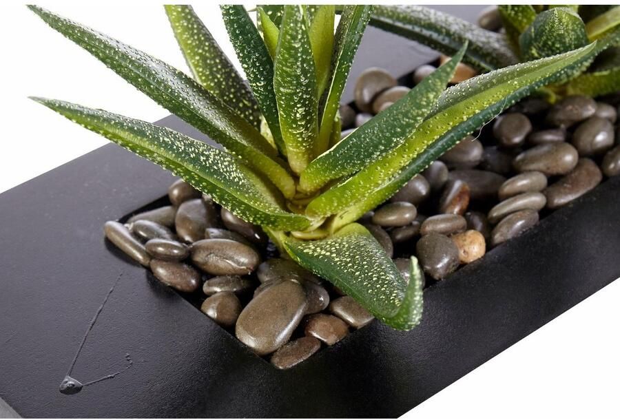 Creativ green Kunstcactus (1 stuk) - Foto 3