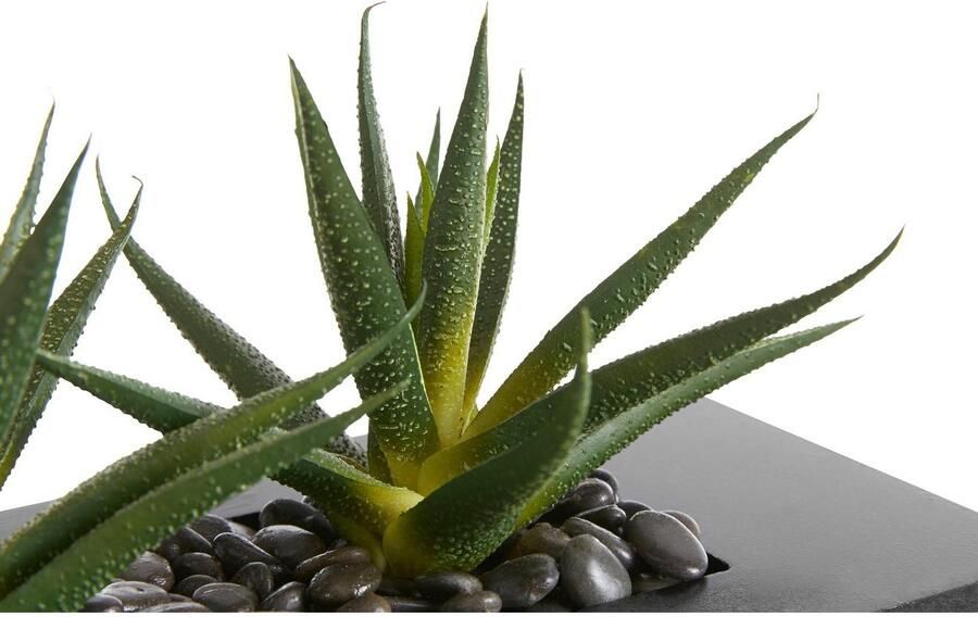 Creativ green Kunstcactus (1 stuk) - Foto 8