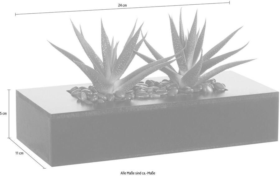 Creativ green Kunstcactus (1 stuk) - Foto 9