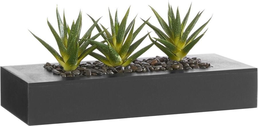 Creativ green Kunstcactus (1 stuk) - Foto 13