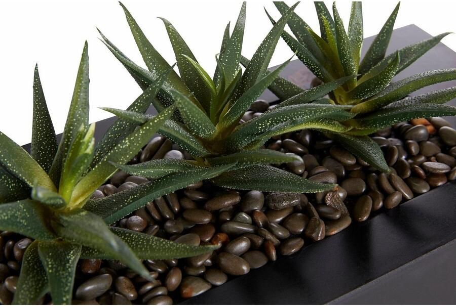 Creativ green Kunstcactus (1 stuk) - Foto 6