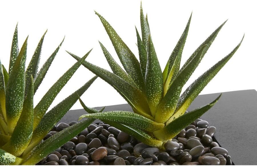 Creativ green Kunstcactus (1 stuk) - Foto 7