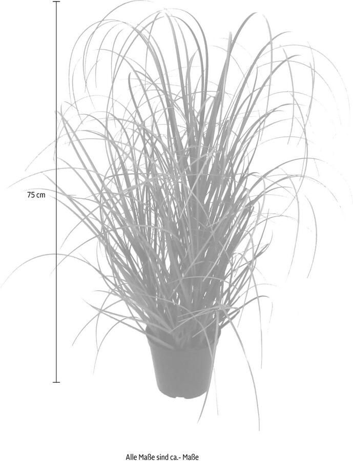 Creativ green Kunstgras Gras (1 stuk)