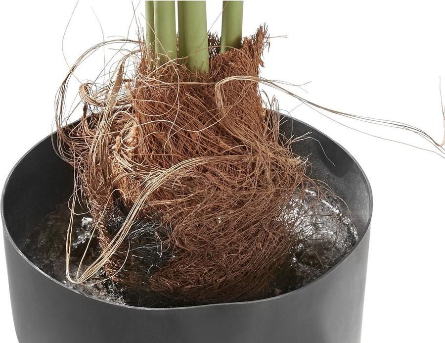 Creativ green Kunstpalm (1 stuk) - Foto 3