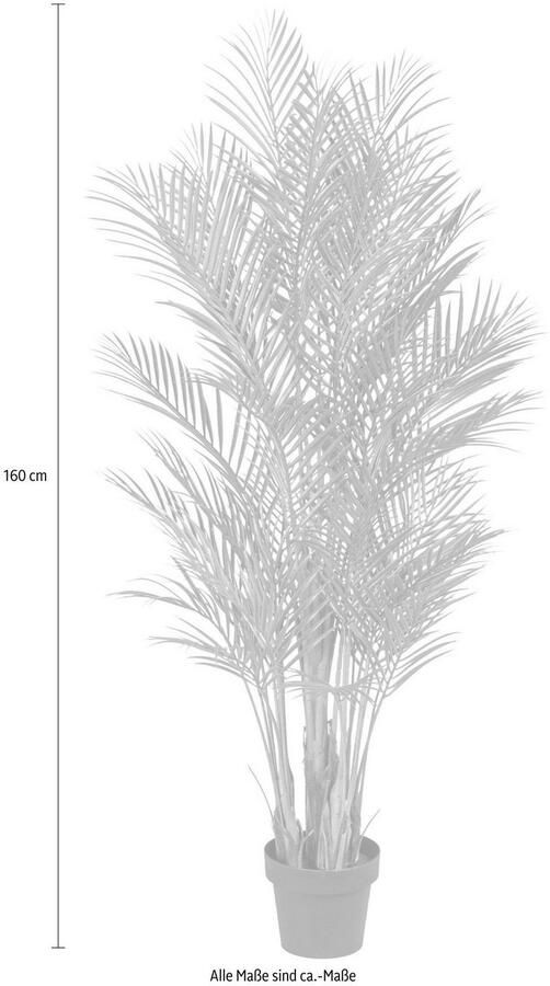 Creativ green Kunstpalm Arecapalm (1 stuk) - Foto 3