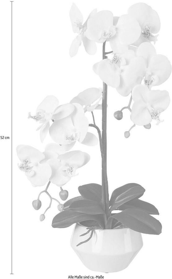 Creativ green Kunstplant (1 stuk)