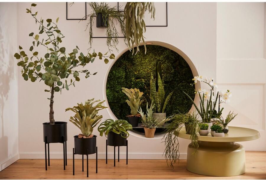 Creativ green Kunstplant Tillandsie (1 stuk) - Foto 2