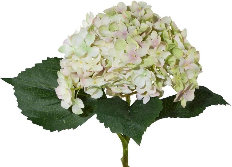 Creativ green Kunstplant Set van 3 (3 stuks) - Foto 3