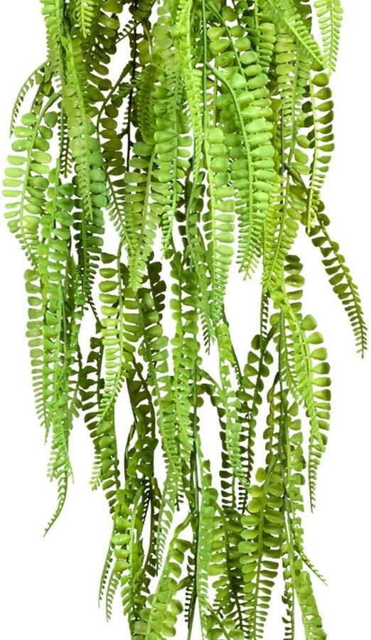 Creativ green Kunstplant Adianthumhanger (1 stuk)
