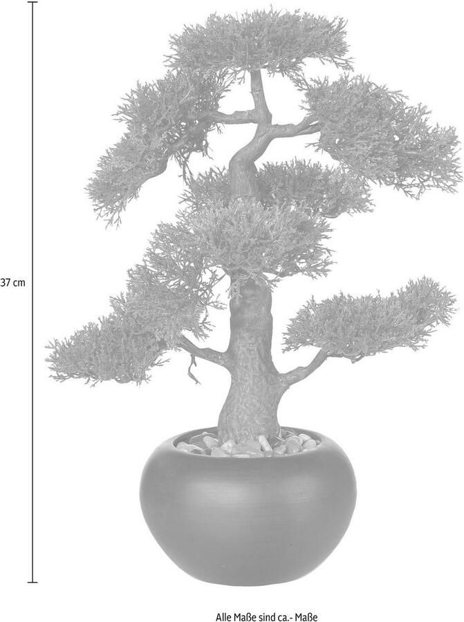 Creativ green Kunstplant Bonsai (1 stuk) - Foto 3