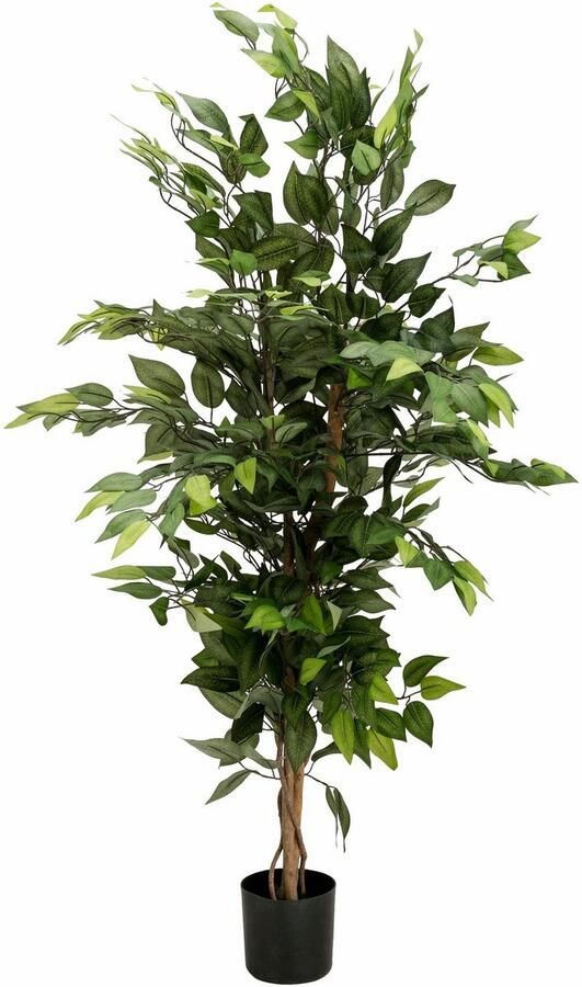 Creativ green Kunstplant Ficus Benjamini (1 stuk) - Foto 9