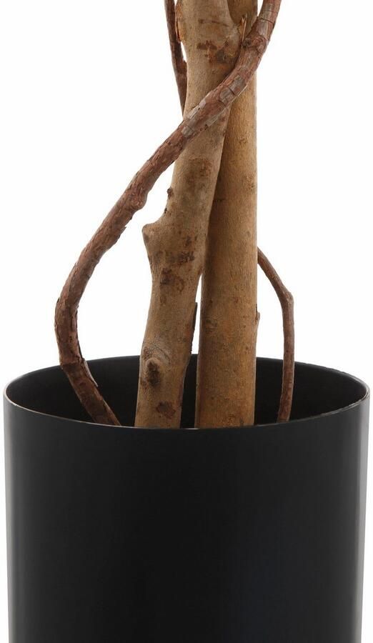 Creativ green Kunstplant Ficus Benjamini (1 stuk) - Foto 10