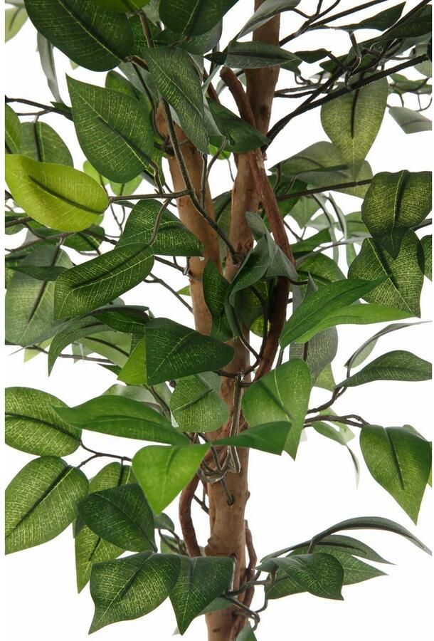 Creativ green Kunstplant Ficus Benjamini (1 stuk) - Foto 2